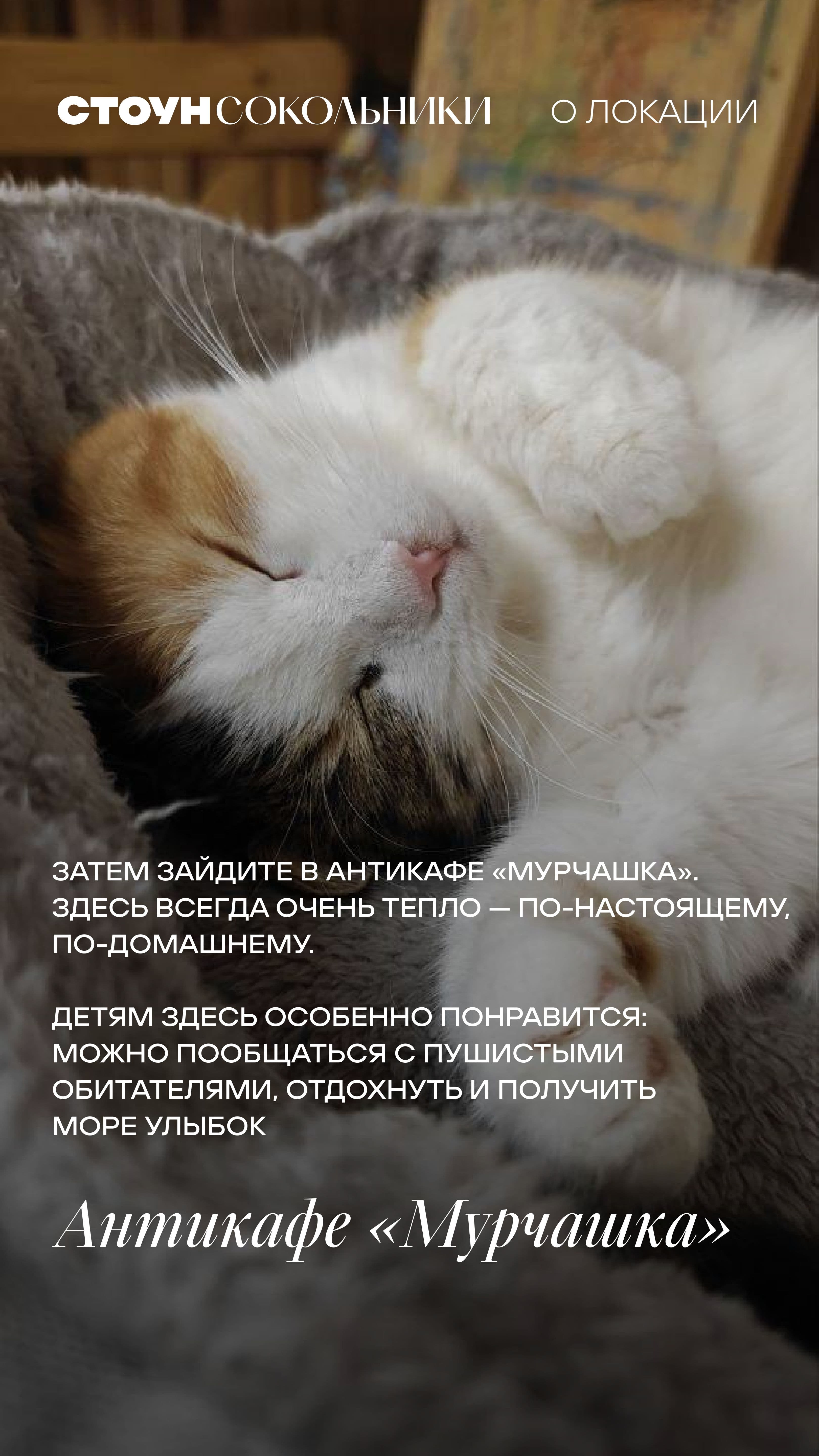 19.07. утро 3 ЖН