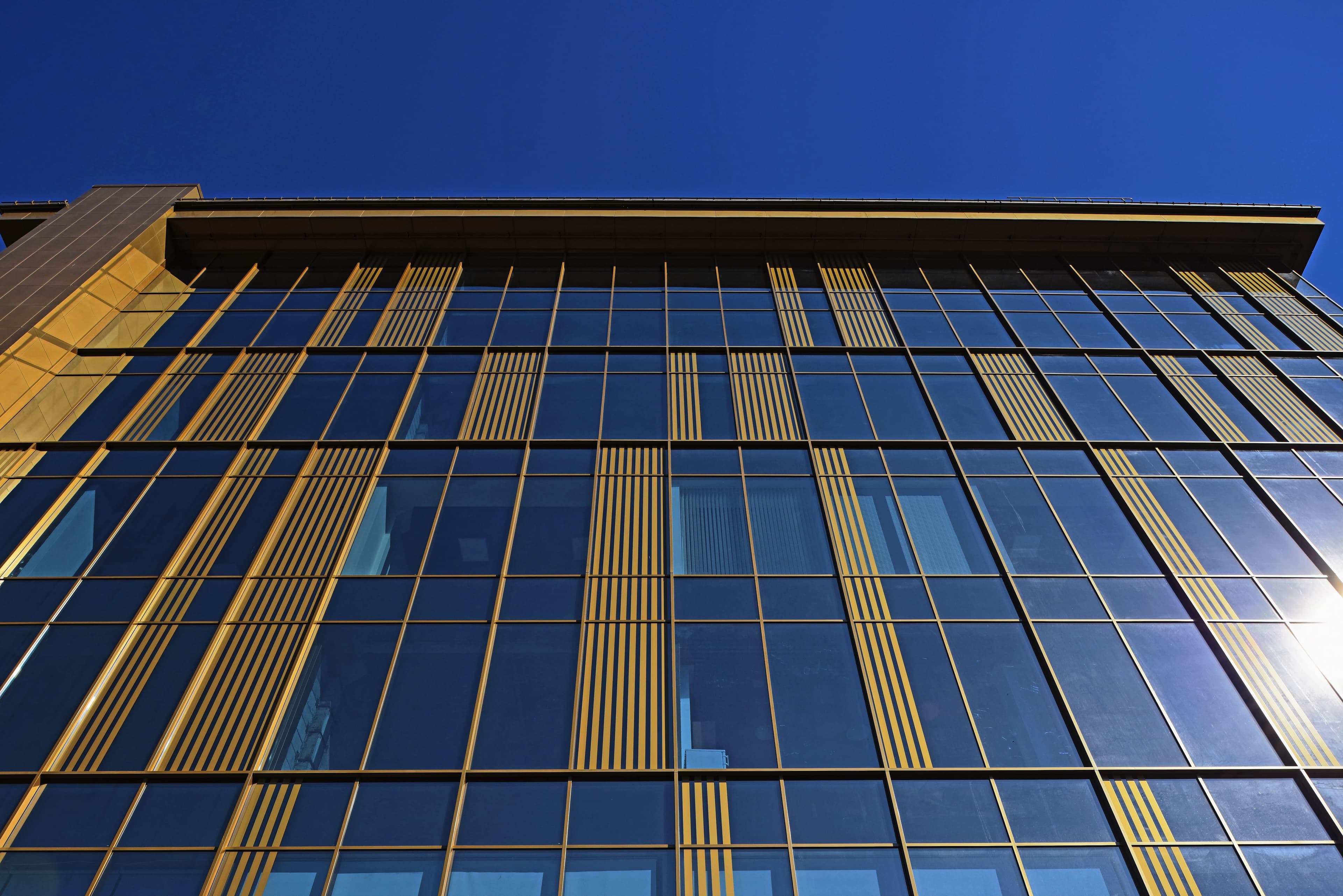Фото  (1)